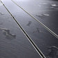 03eb645abb56845bd044b76cf51796ba